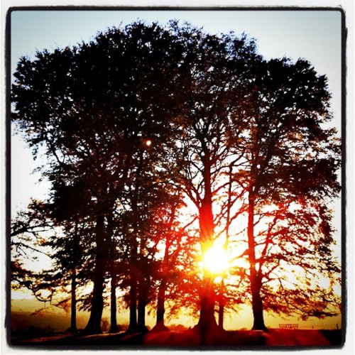 10-10-25-iPhone4-0218