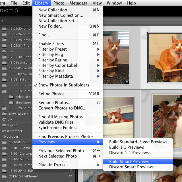 build smart previews lightroom 5