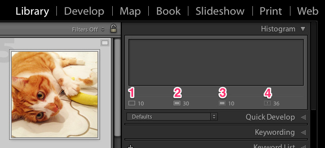 multiple images smart previews