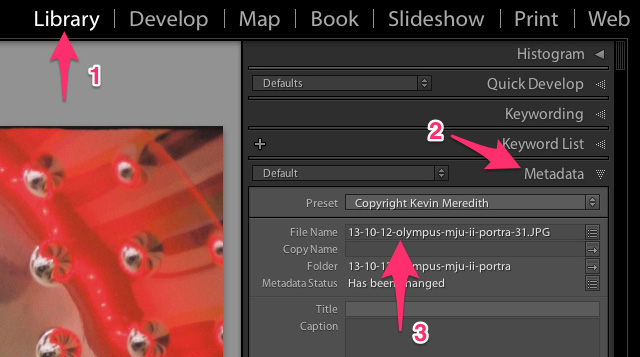 reamain files lightroom step by step