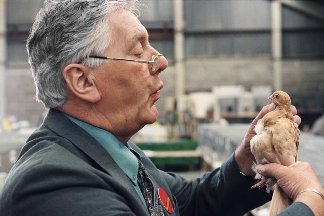 Arnhel da Serra form the series "shows"