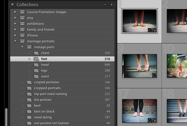 ligtroom collections